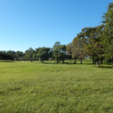 和田公園 浮島デイキャンプ場