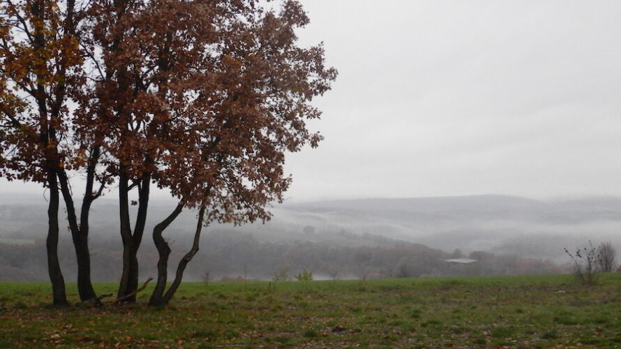 アルバニア１～アルバニア国境越え情報と電気ドリル男登場！